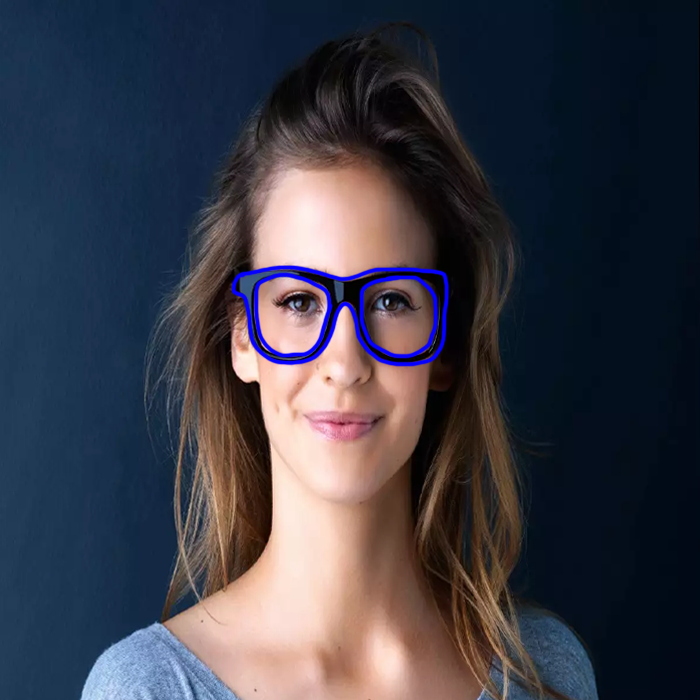 Glasses