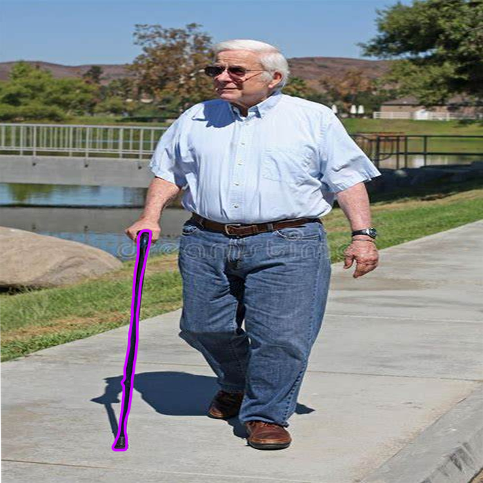 walking assist